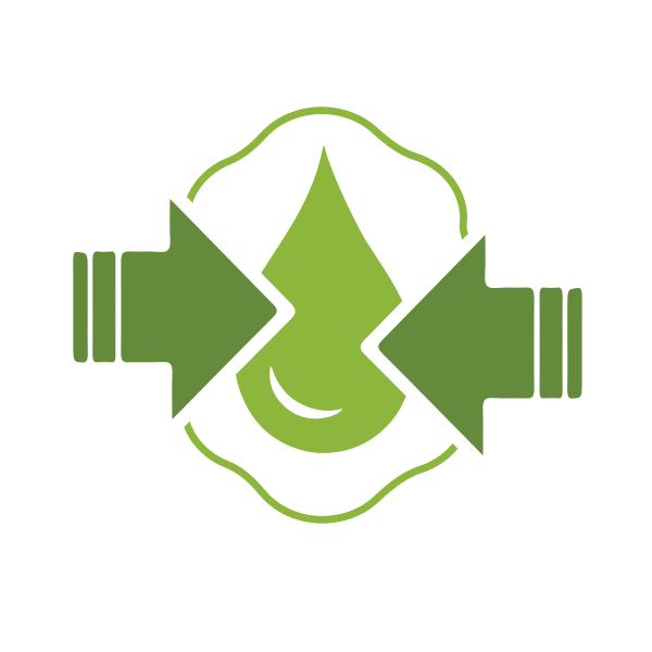 Absorción extraordinaria