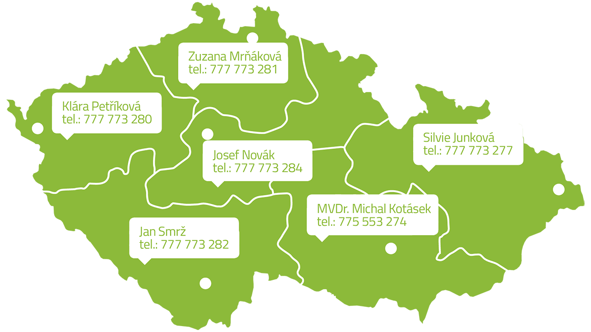 Nuestros representantes de ventas regionales